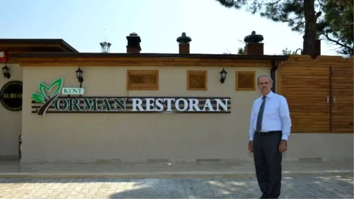 Muhteşem Manzaralı Orman Restoran Hizmete Girdi