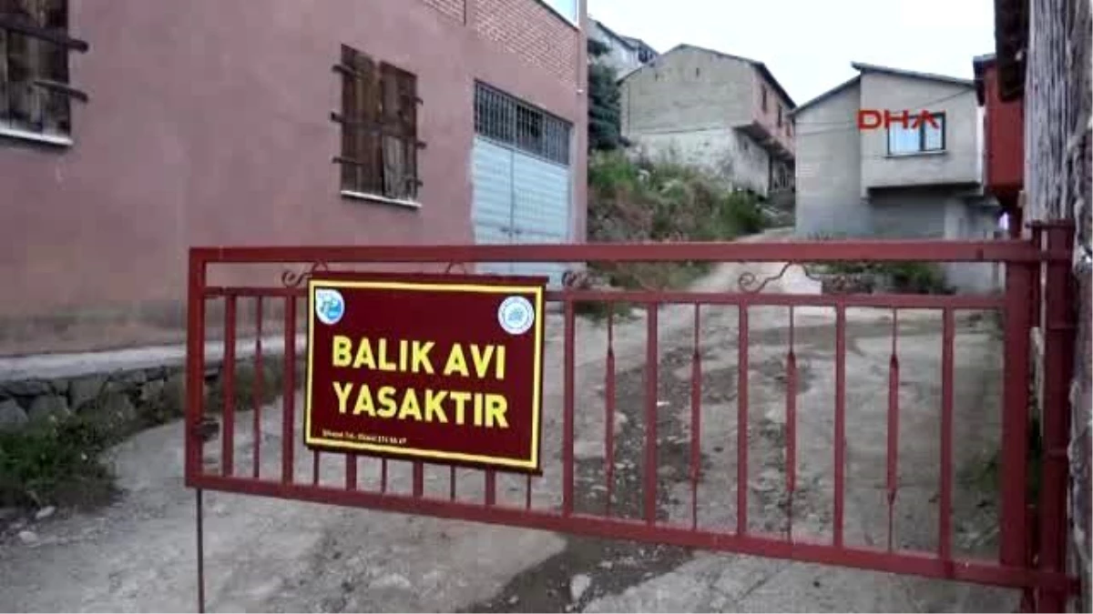 Kırmızı Benekli Alabalığın Avlanmasına "Demir Kapılı" Önlem