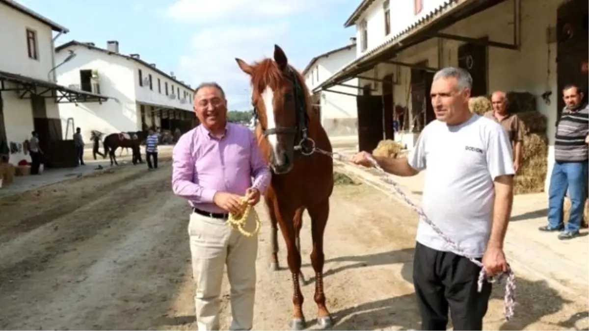 Salman, Yürüyen Köşk Koşusu İçin Ekinci\'den Söz Aldı