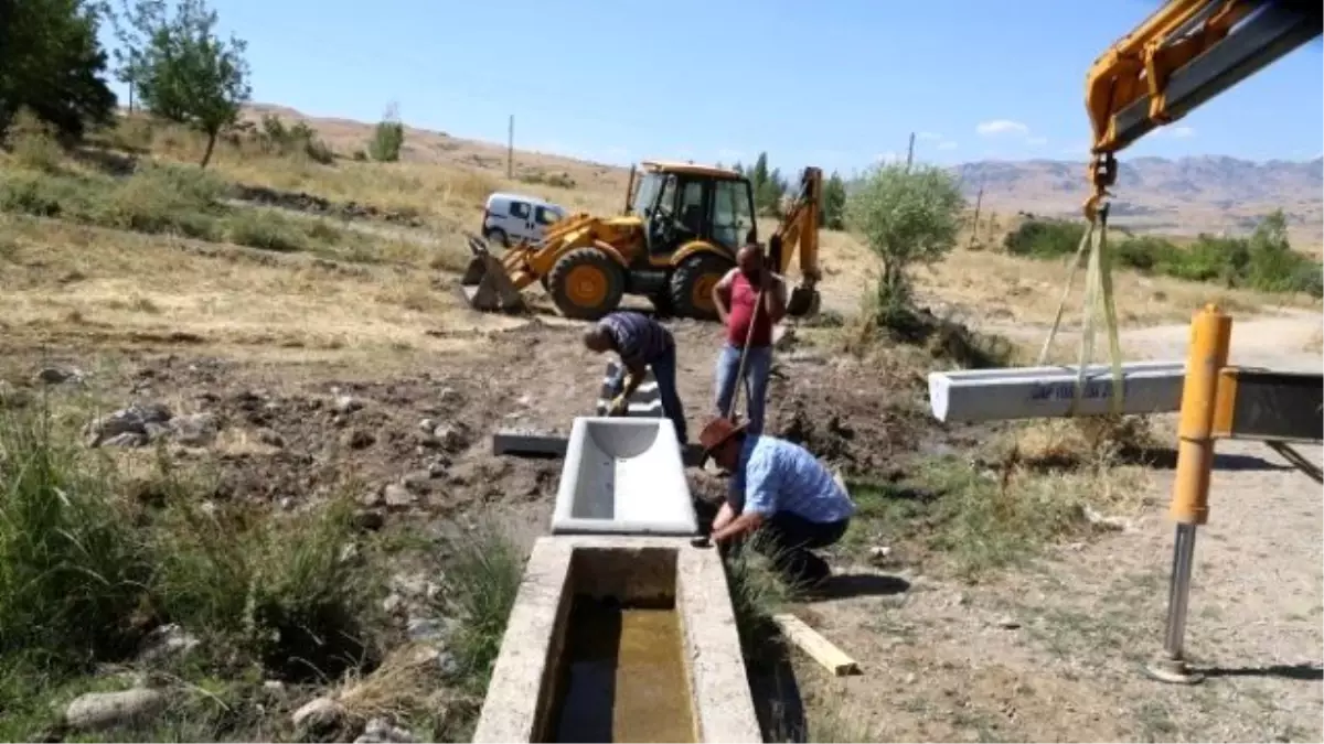 Tunceli İl Özel İdaresinden Hayvancılığa Destek