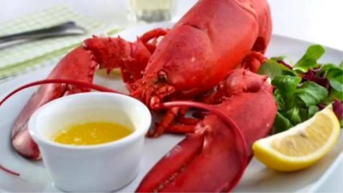 Would You Drink Lobster Beer?