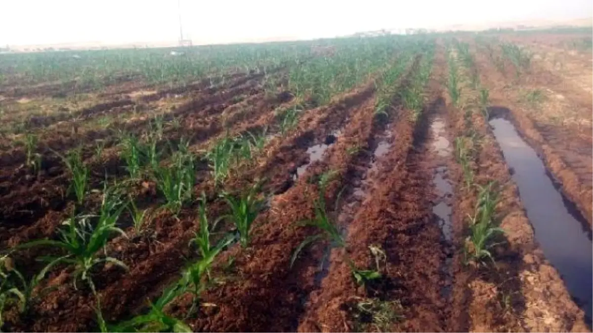 PKK, Silopi\'de Petrol Boru Hattına Saldırdı