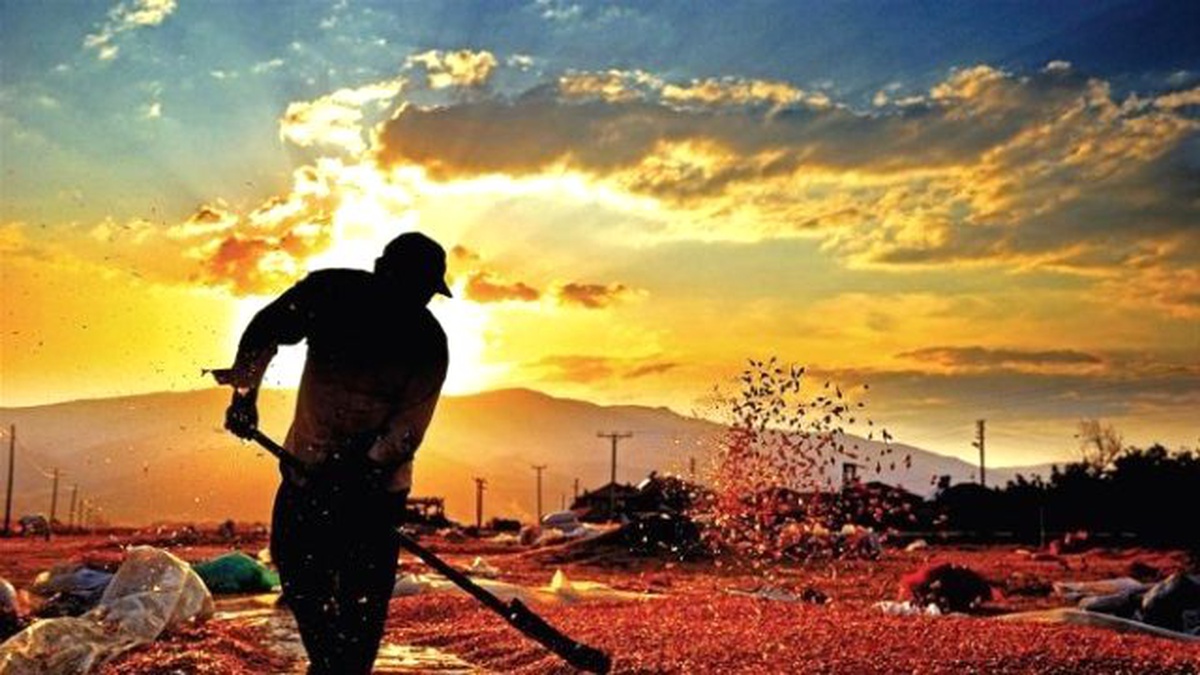 7. Tarım ve İnsan Fotoğraf Yarışması Başvuruları Başladı