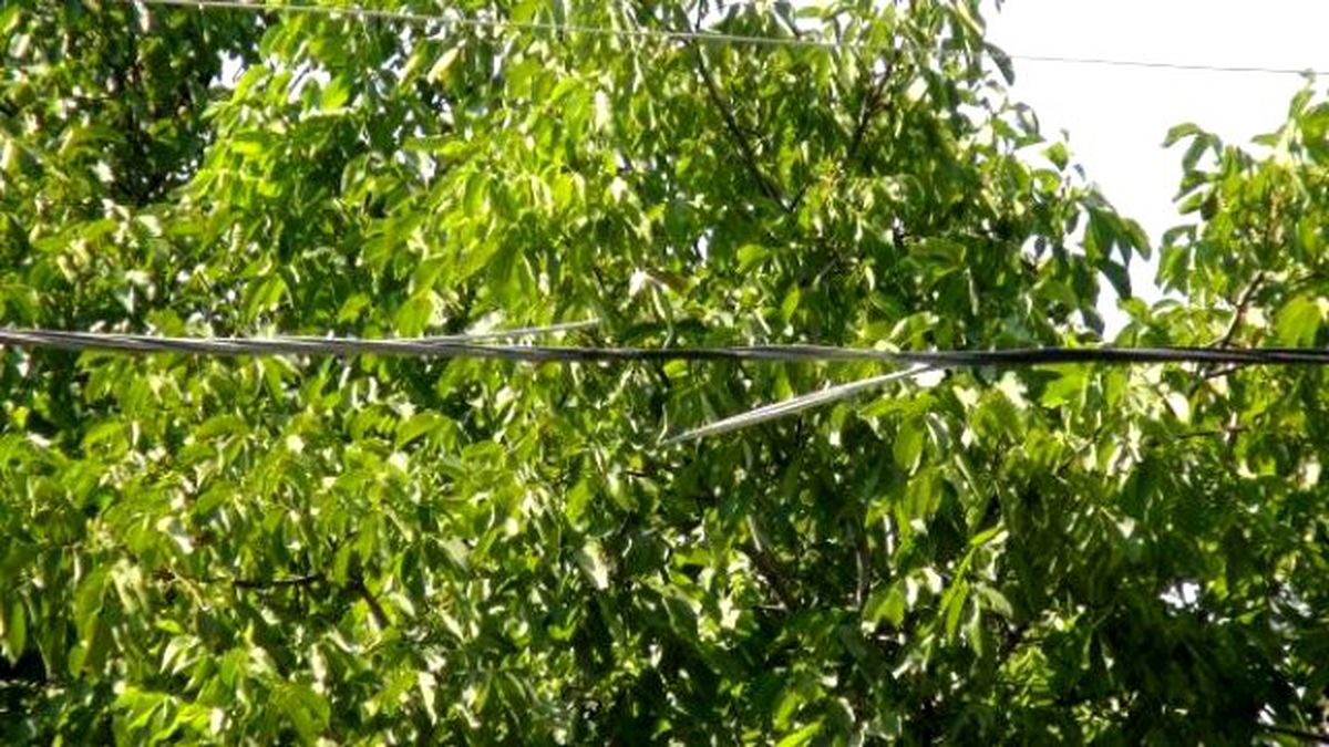 Aşırı Sıcaklar Elektrik Kablolarını Eritti
