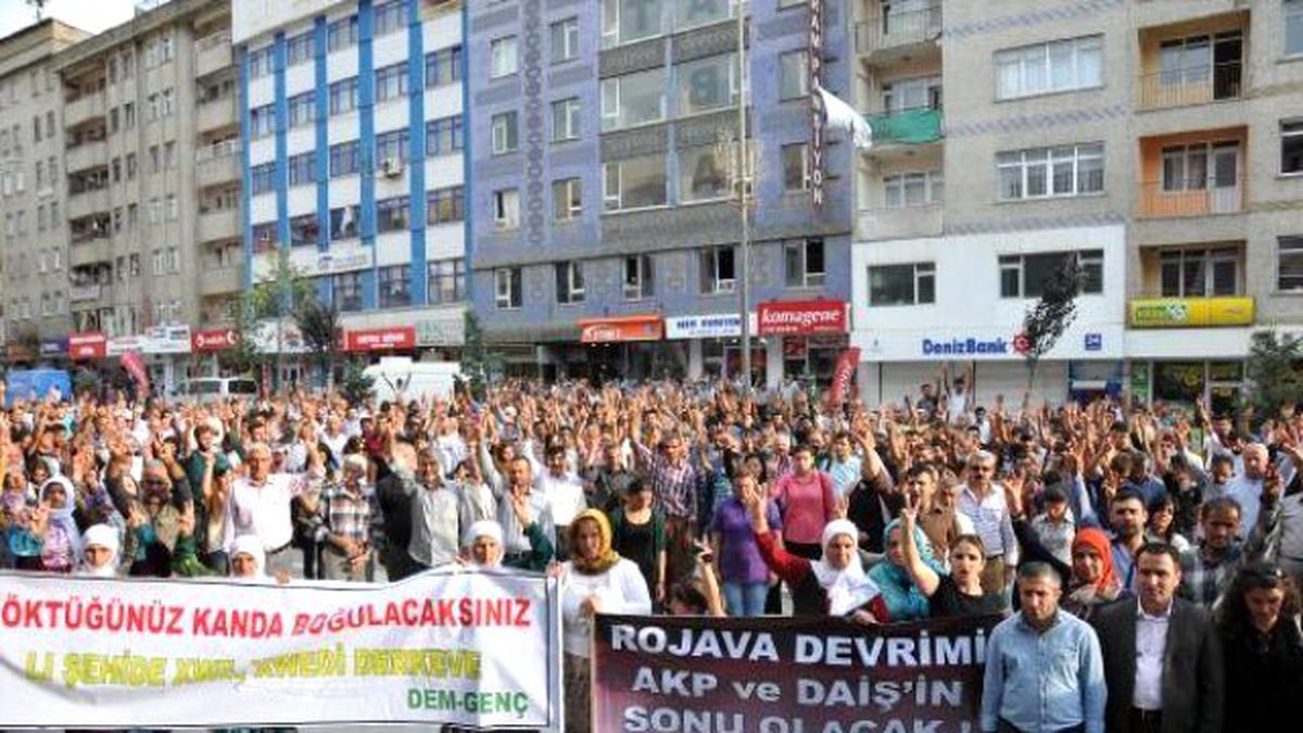 Hakkari\'de Dbp ve Hdp\'liler, PKK\'ya Operasyonu Protesto Etti