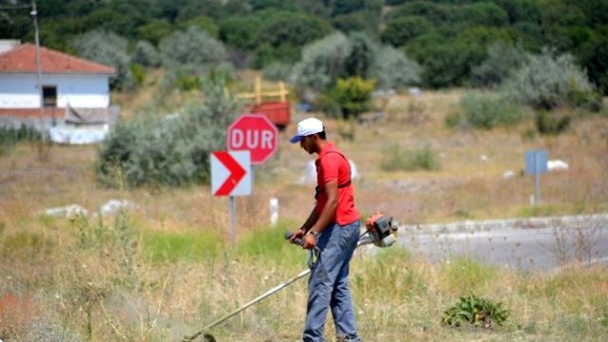 Kargı Belediyesinden Kavşak Temizliği