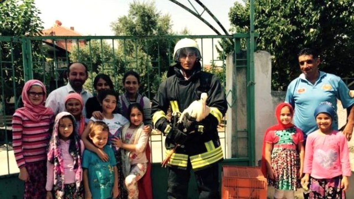 Yere Düşen Leylek Yuvasına Kavuşturuldu