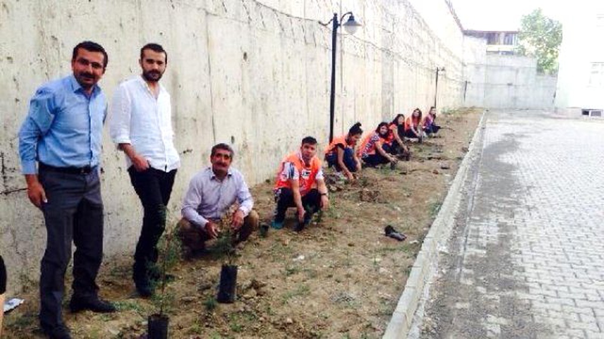 Yüksekova\'da Öğretmenler Okul Bahçesine 200 Çam Fidanı Dikti
