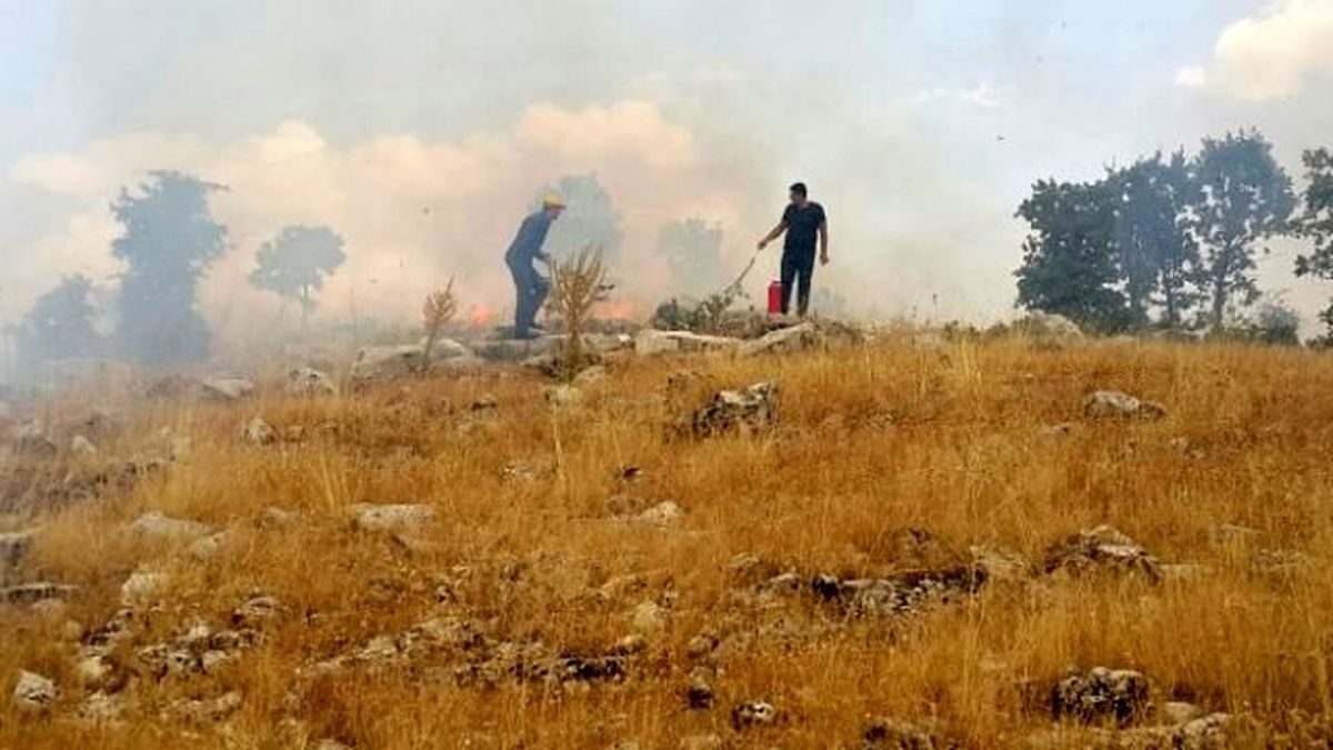 Adıyaman\'da 5 Hektar Orman Alanı Kül Oldu