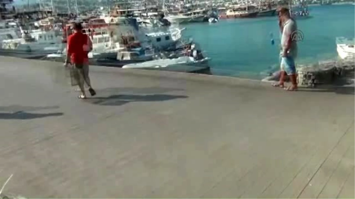 Bodrum Akut\'tan Kedi Kurtarma Operasyonu