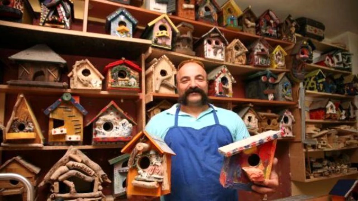 Bodyguard Of Birds" Makes Nests By Waste Washing Ashore