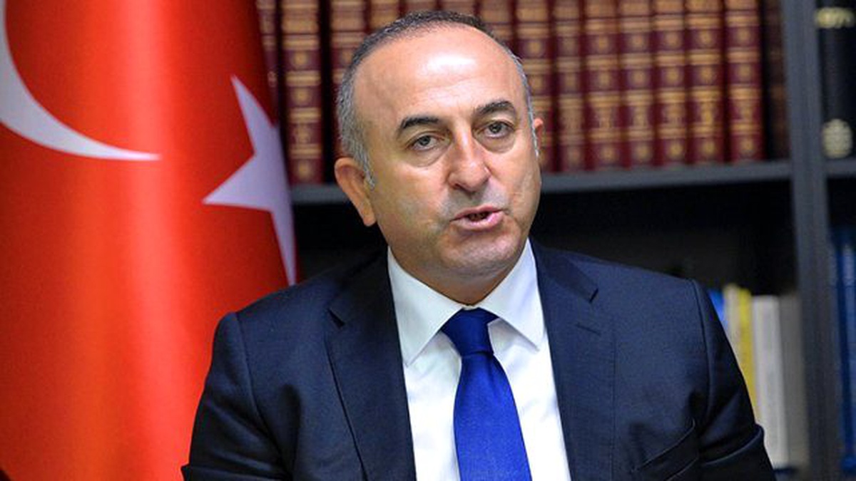 Çavuşoğlu, Avusturya Dışişleri Bakanı Kurz ile Görüştü