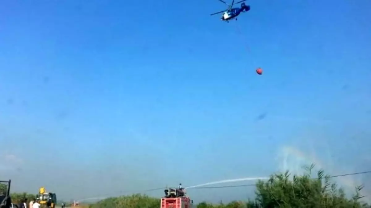 Dalyan Sazlığı Yine Alevlere Teslim Oldu