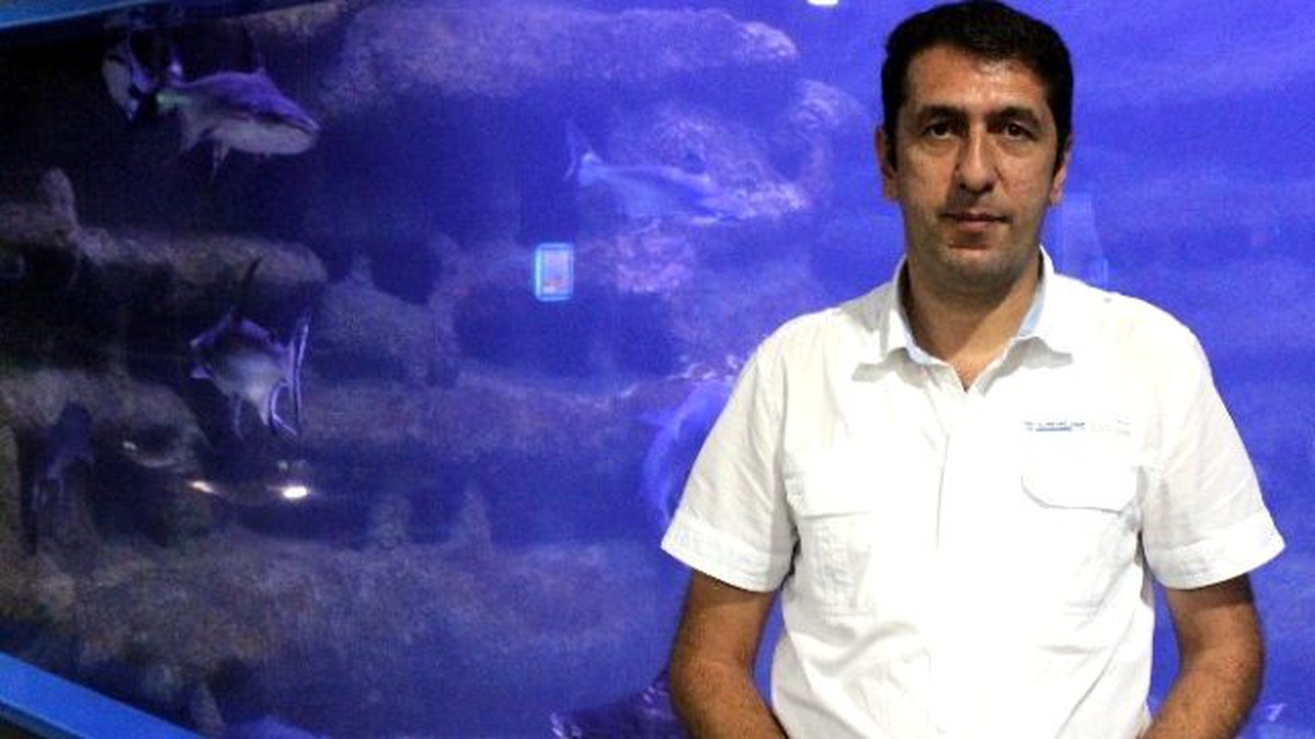 Sualtı Dünyasına 1,5 Yılda 1 Milyon Ziyaretçi