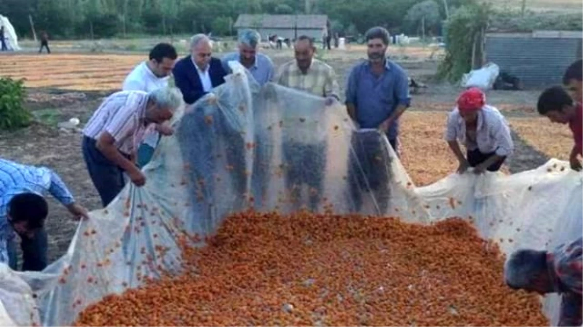 AK Parti Şanlıurfa Milletvekillerinden Akçadağ\'a Ziyaret