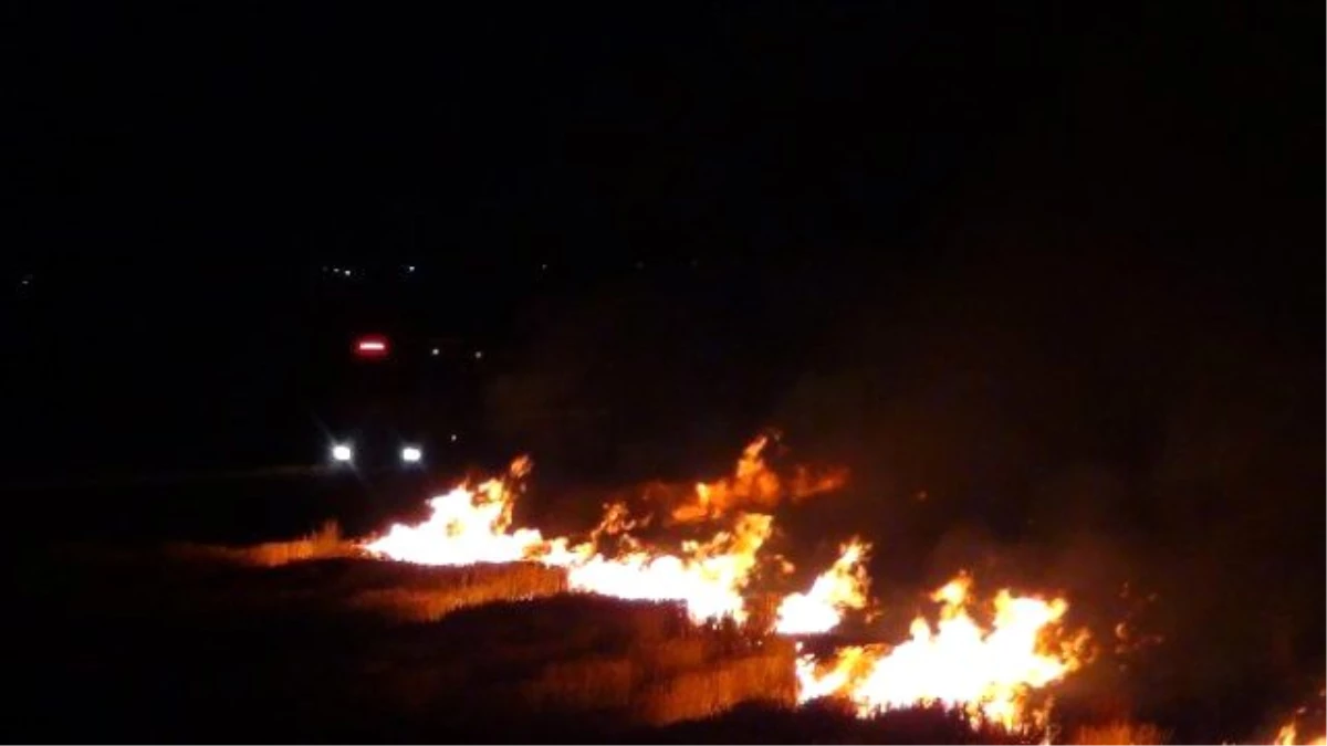Diyarbakır\'da Anız Yangını Vatandaşları Korkuttu