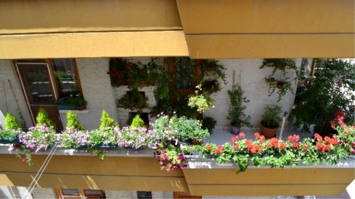 Keçiören\'de En Güzel Balkon, Bahçe, Pencere Seçiliyor