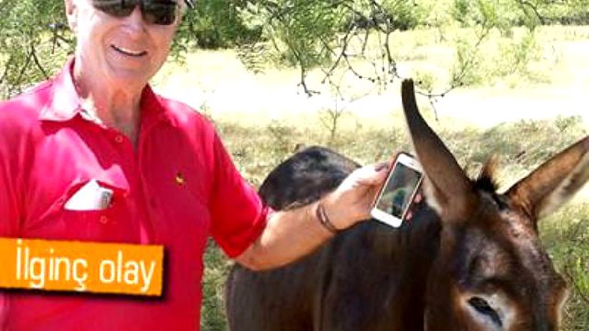 Uçaktan Düşen İphone Çalışır Halde Bulundu!