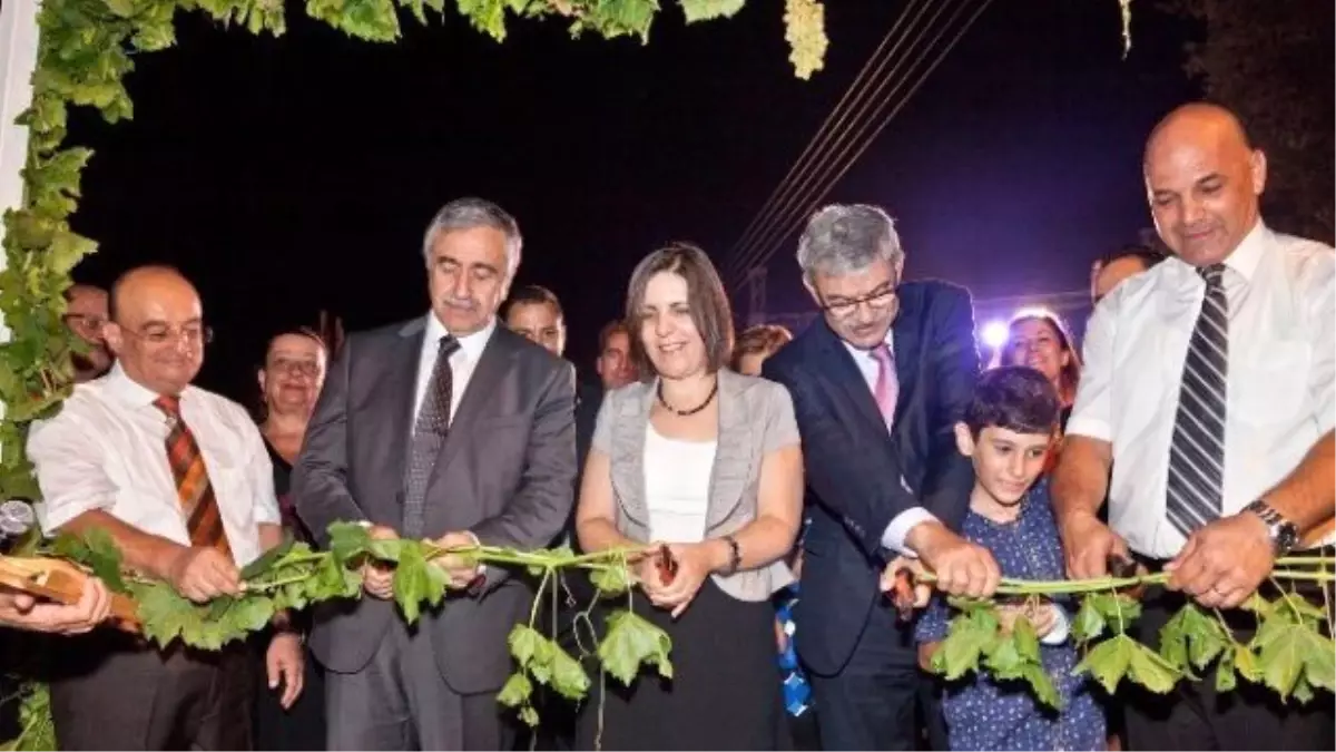 Mehmetçik Üzüm Festivali Başladı