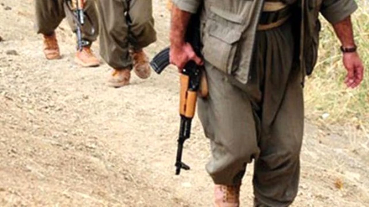 Şırnak\'ta 7 PKK\'lı Daha Teslim Oldu