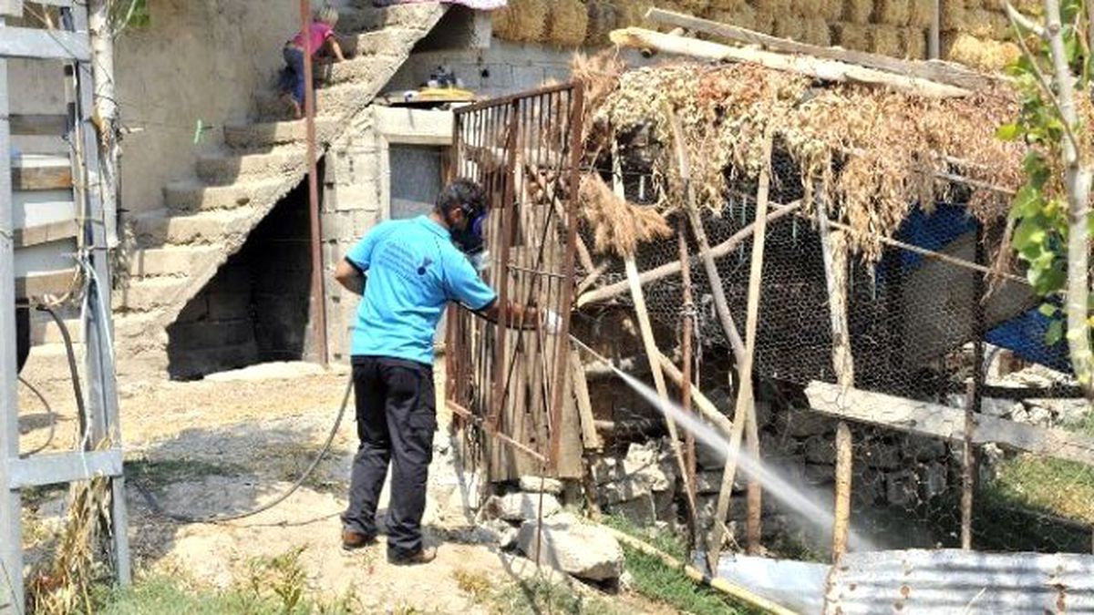 Kahramanmaraş\'ta Sinekle Mücadele