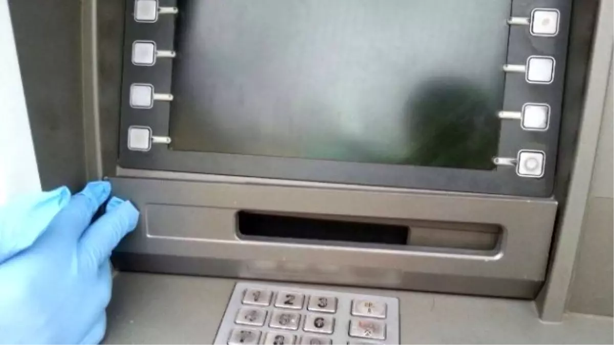 Rize\'de Atm Üzerinde \'Papağan\' Bulundu