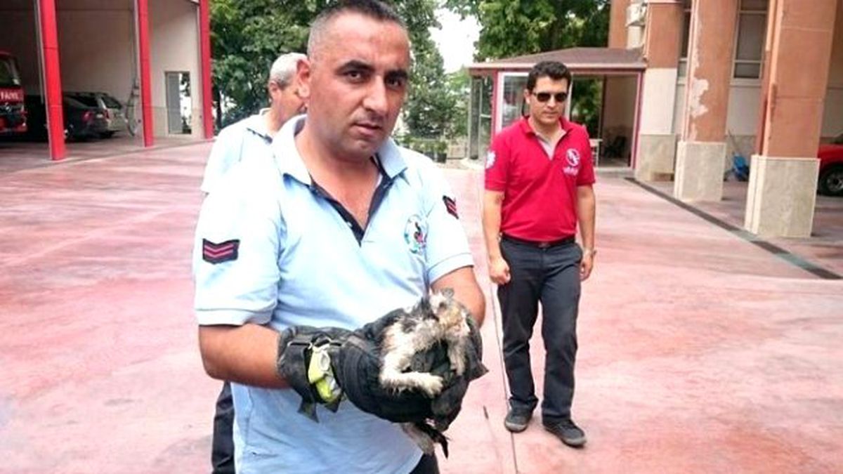 Denizli İtfaiyesinden Kedi Kurtarma Operasyonu