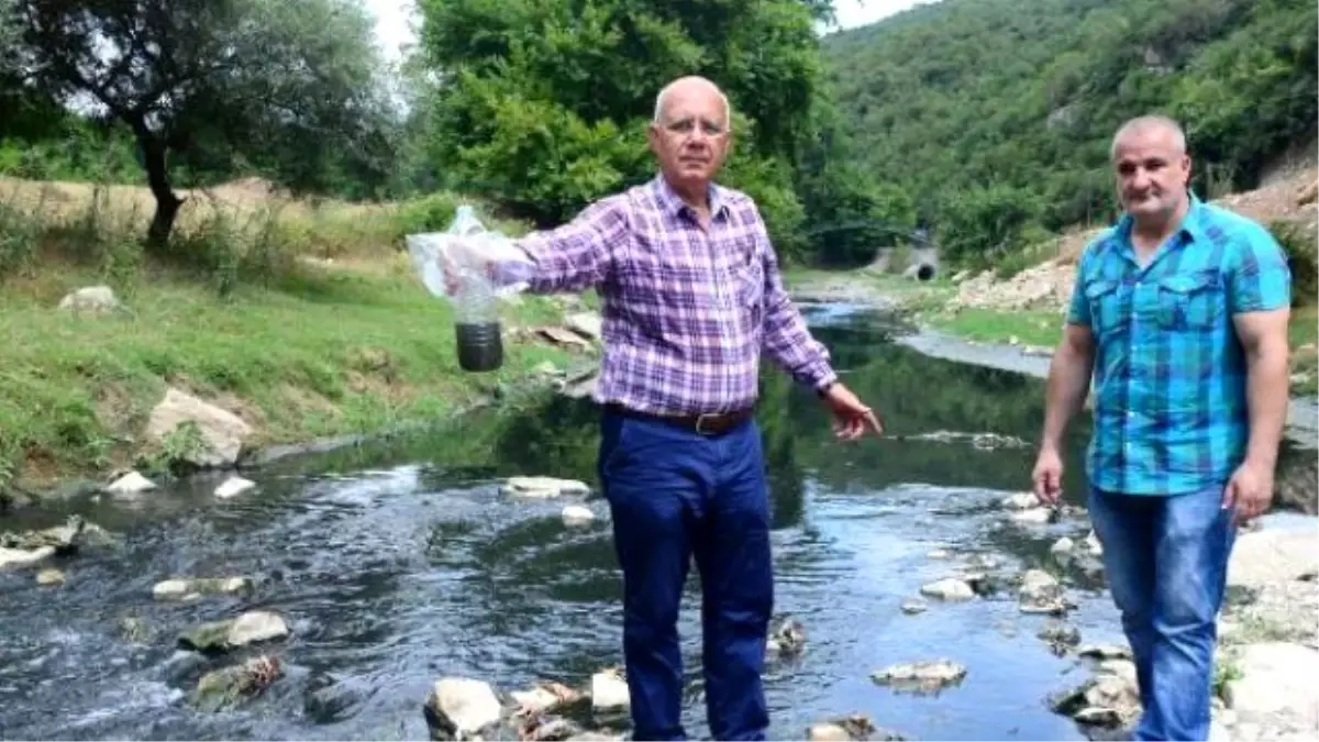 Dilovası'na Adını Veren Dilderesi, Kirlilikten Simsiyah Akıyor