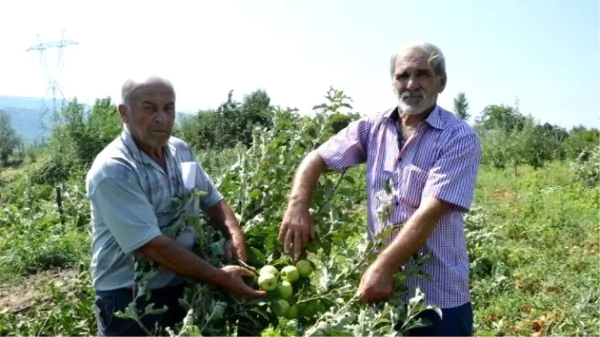 Dolu ve Fırtına Tokatlı Çiftçiyi Vurdu