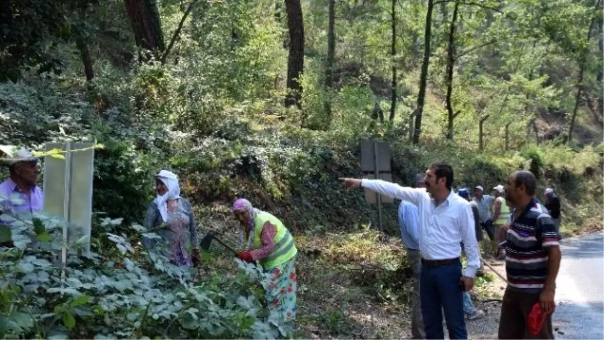 Kertil Mesire Alanında Temizlik Çalışması Yapılıyor