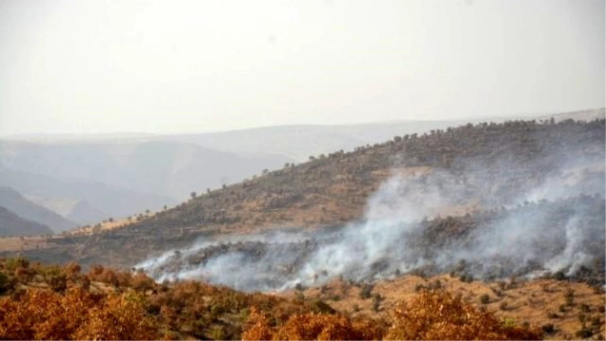 Mardin Bagok Dağında Yangın
