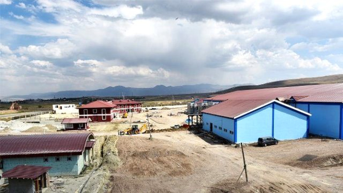 Sekmen: "Erzurum Yeniden Hayvancılığın Merkezi Olacak"