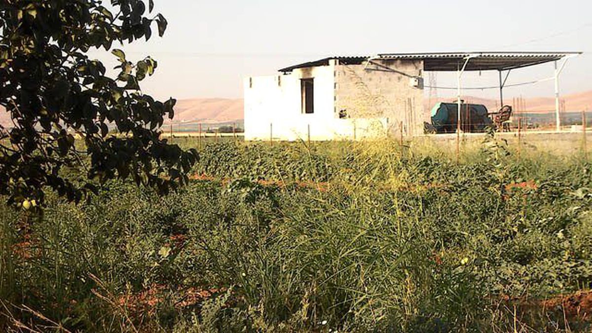 Tarım Arazilerinde Kaçak Binalar Yükseliyor!
