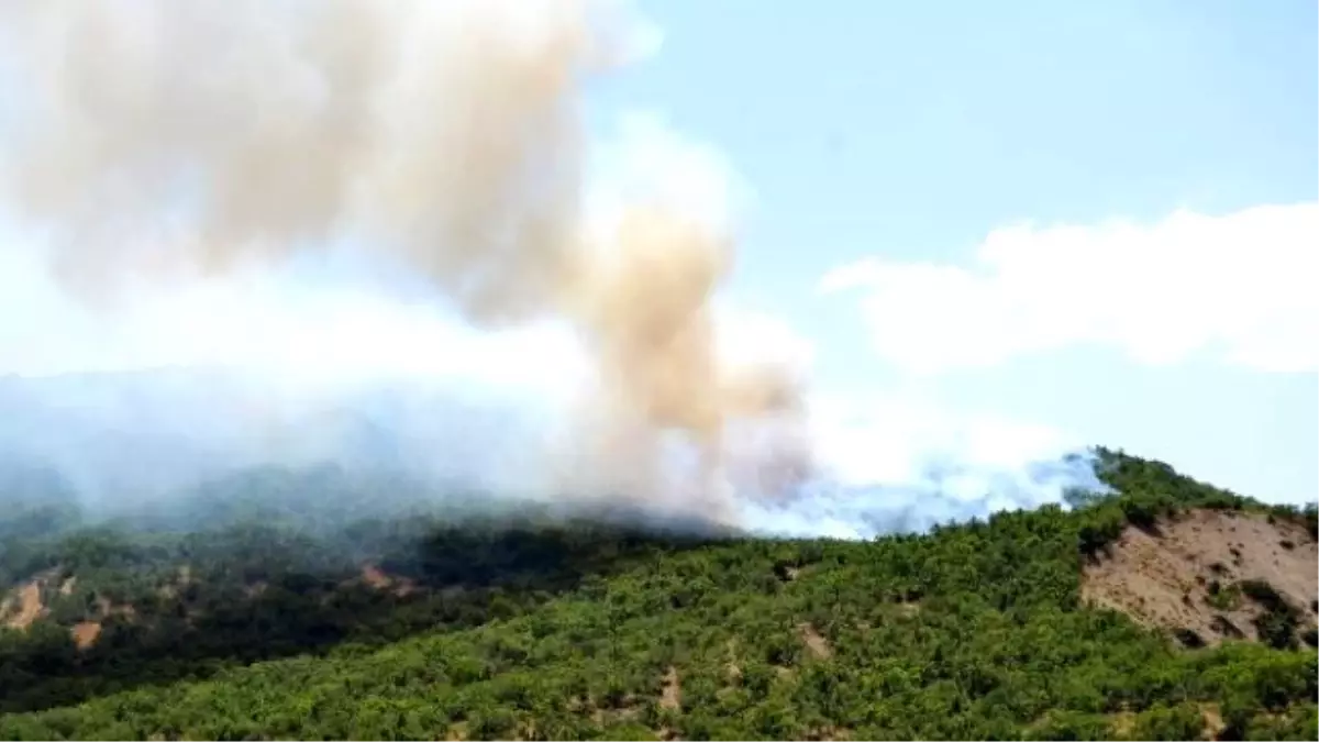 Tunceli\'de Orman Yangını Büyüyerek Devam Ediyor