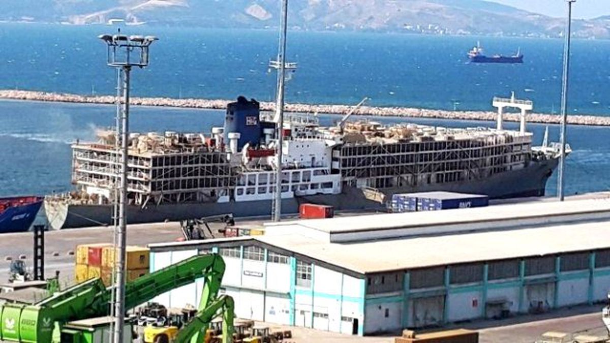 Yüzen Ahır Yine Bandırma\'da