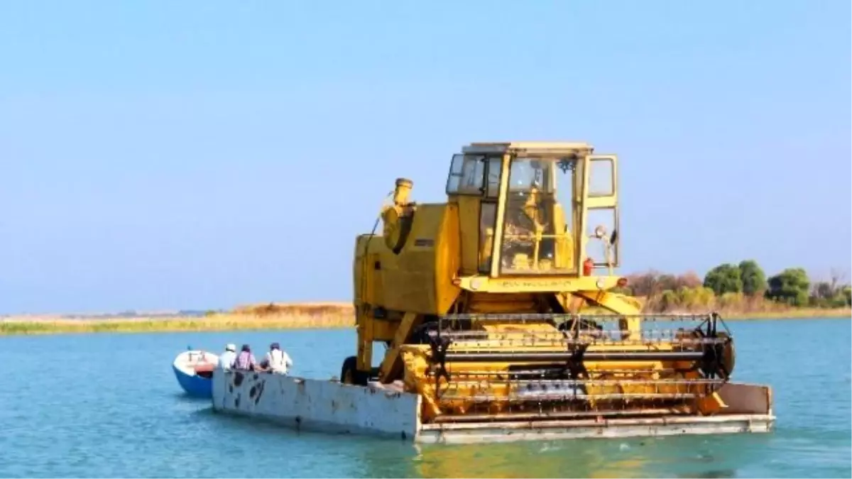 Biçerdöverler Sal Üzerinde Gölden Adaya Taşınıyor