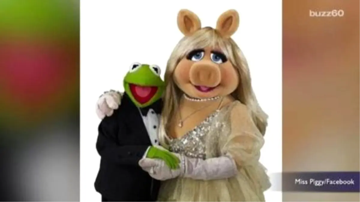 Kermit And Miss Piggy Call İt Quits