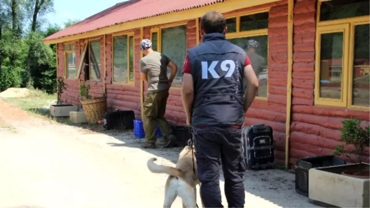 Bomba Uzmanı K9 Köpekleri Hayat Kurtarıyor