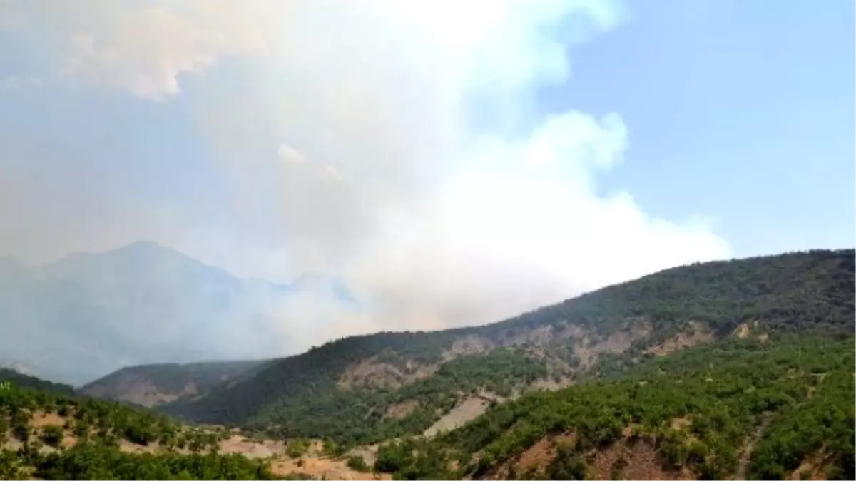 Tunceli\'deki Orman Yangını Kontrol Altına Alındı