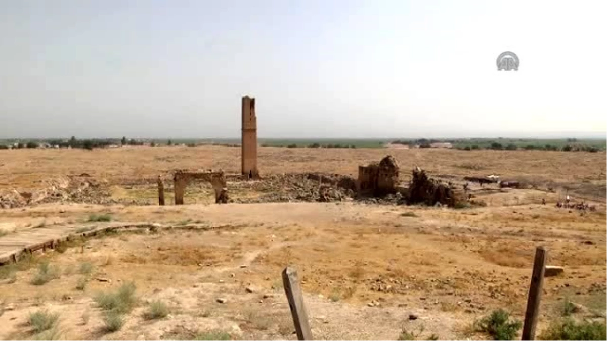 Harran\'da Bin 250 Yıllık Hamam İzleri