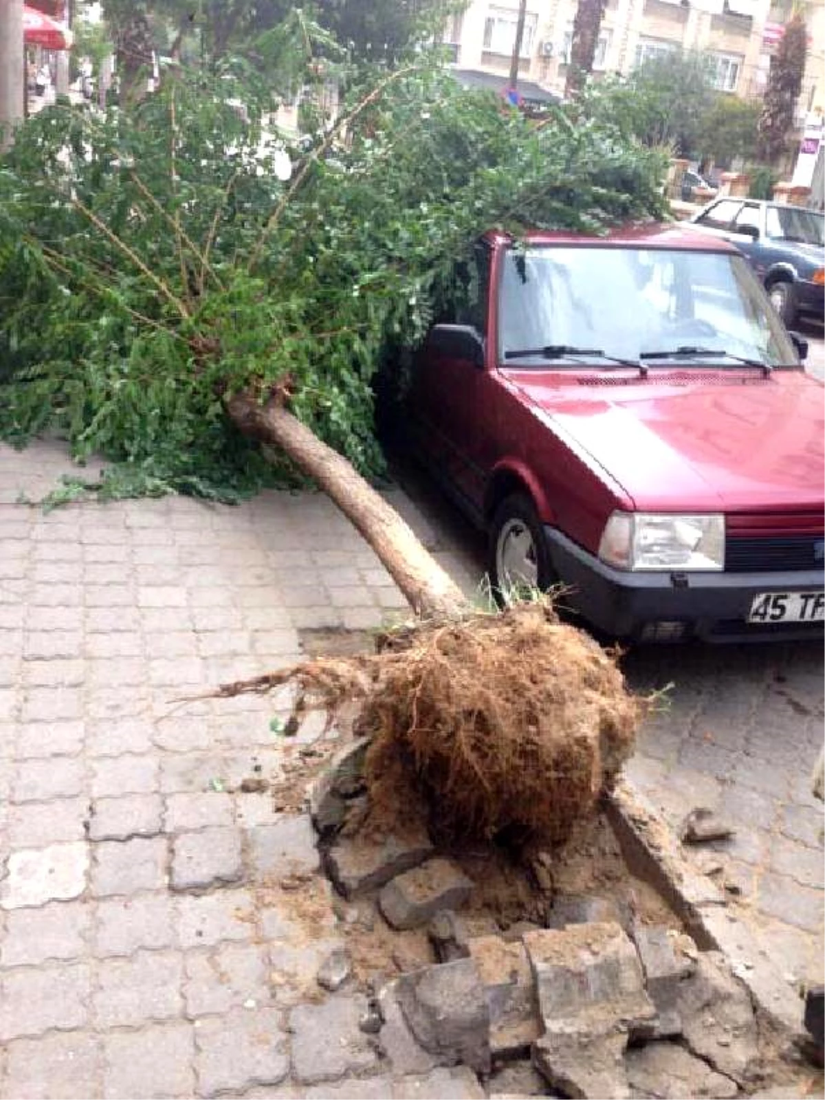 Turgutlu\'da Şiddetli Rüzgar Hayatı Olumsuz Etkiliyor