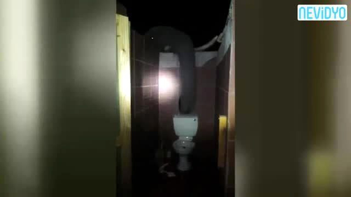 Tuvaletten Bu Kez Yılan Değil, Fil Çıktı!