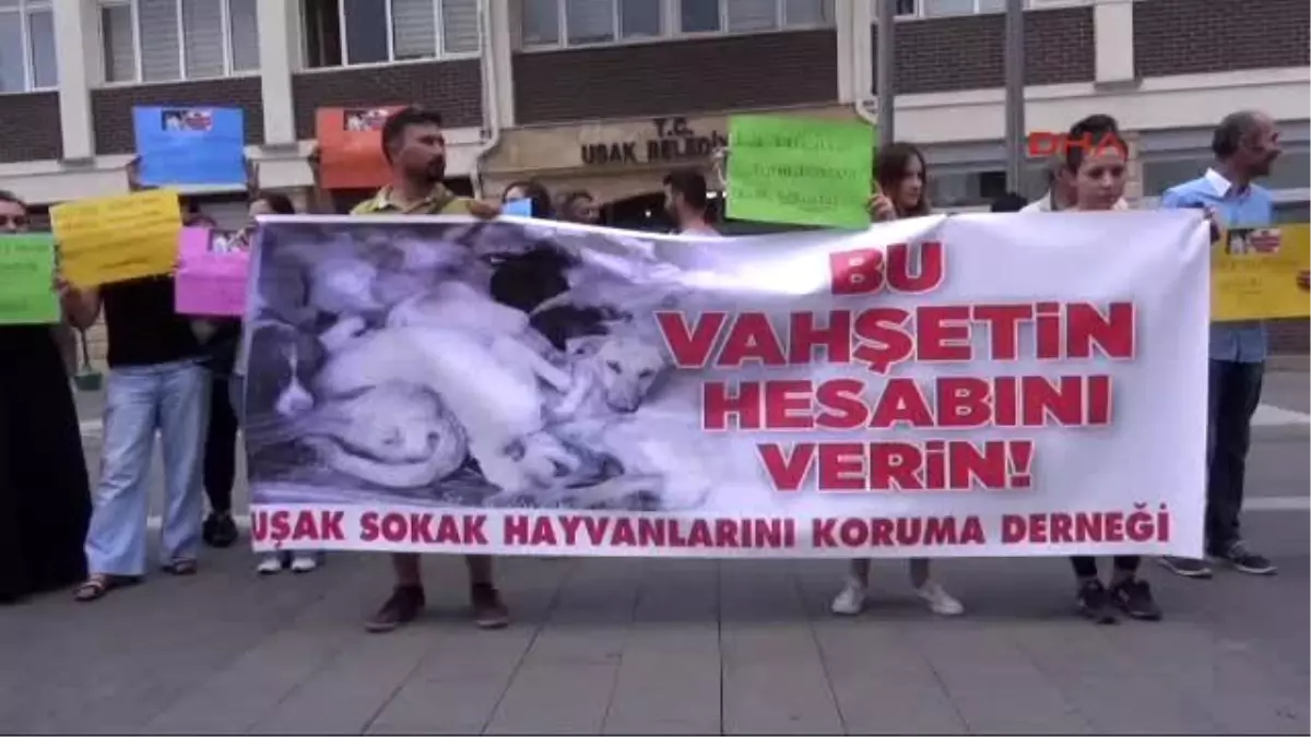 Uşak - Tır Dorsesinde Köpek Telefleri Tepki Topladı