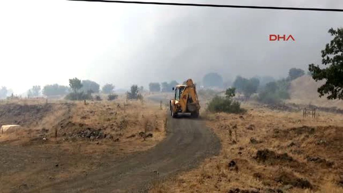 Bingöl?de Orman Yangını Kontrol Altına Alındı