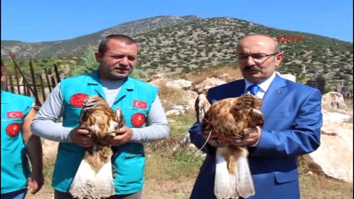 Burdur - Odun Ateşinde Lavantanın Yağını Çıkarıyor