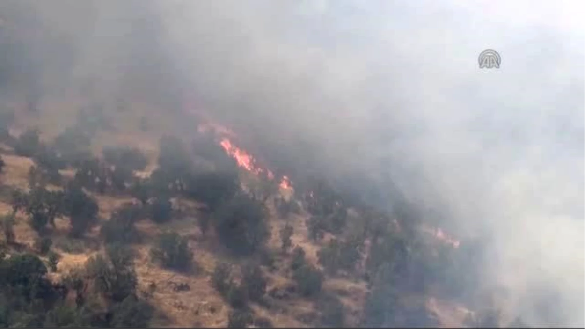 Cudi Dağı\'ndaki Yangın Söndürülmeye Çalışılıyor