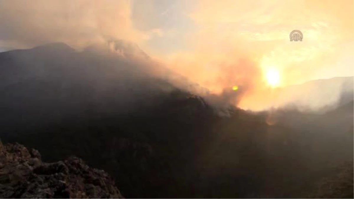 İzmir\'de Orman Yangını! Karadan ve Havadan Müdahale Ediliyor