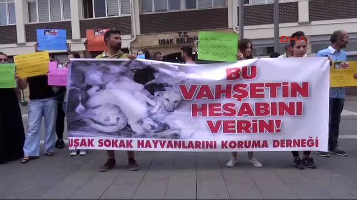 Uşak Barosu \'Köpek Katliamı\'nı Kınadı