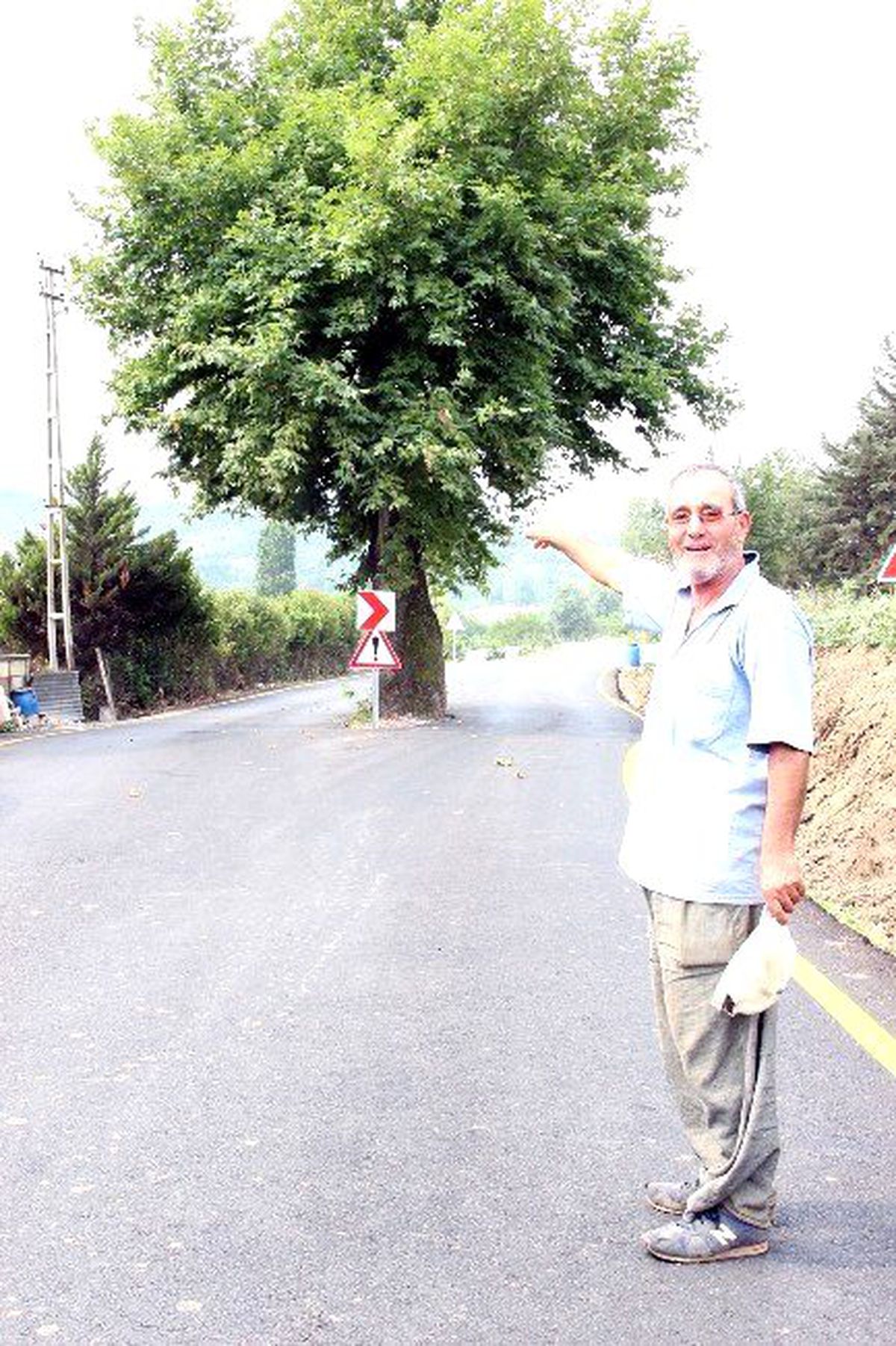 Yol Ortasında Kalan Çınar Köyün Timsali Oldu