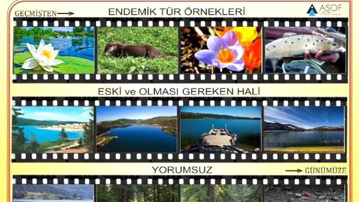 Asof\'tan Basın Duyurusu